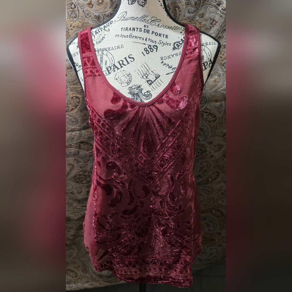 Elegant Velvet dress